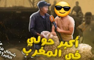 أسباب غلاء ? أسعار العيد الأضحى ? ???