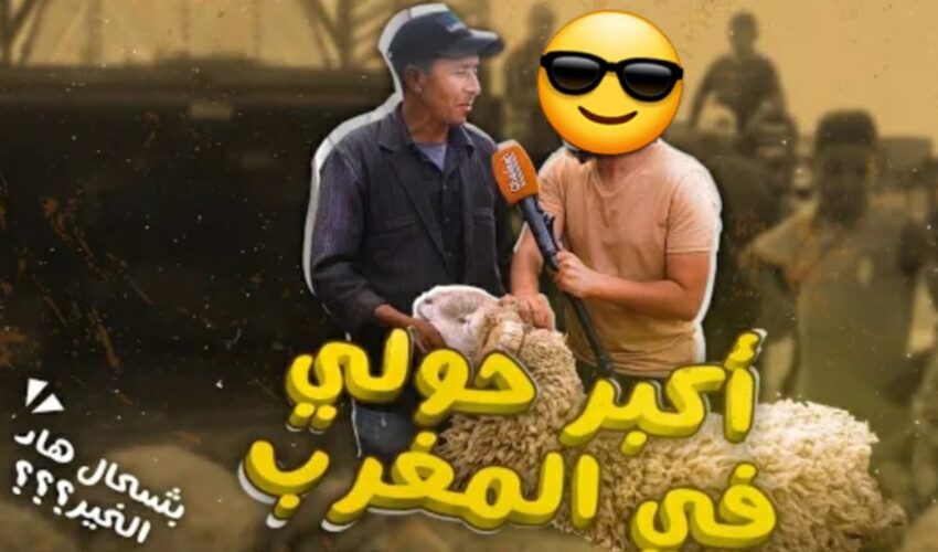 أسباب غلاء ? أسعار العيد الأضحى ? ???