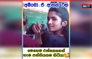 ?137? Sinhala meme Athal | Tik Tok Memes | Meme Review | Meme Athal Sinhala | Niro TV