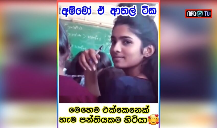 🤣137🔥 Sinhala meme Athal | Tik Tok Memes | Meme Review | Meme Athal Sinhala | Niro TV