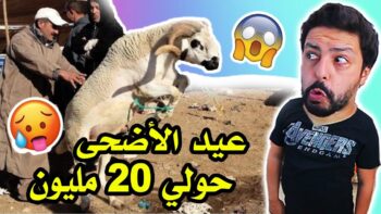 Black Moussiba || ??? عيد الأضحى ، حولي بعشرين مليون