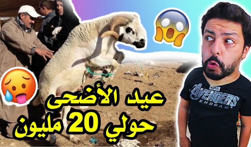 Black Moussiba || ??? عيد الأضحى ، حولي بعشرين مليون