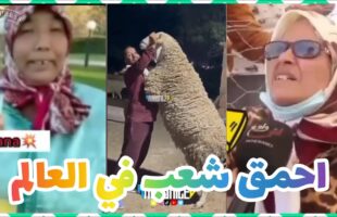 ميمز تافهة (ميمز مغربي) MOROCCAN MEMES احمق شعب فالعالم dirty memes