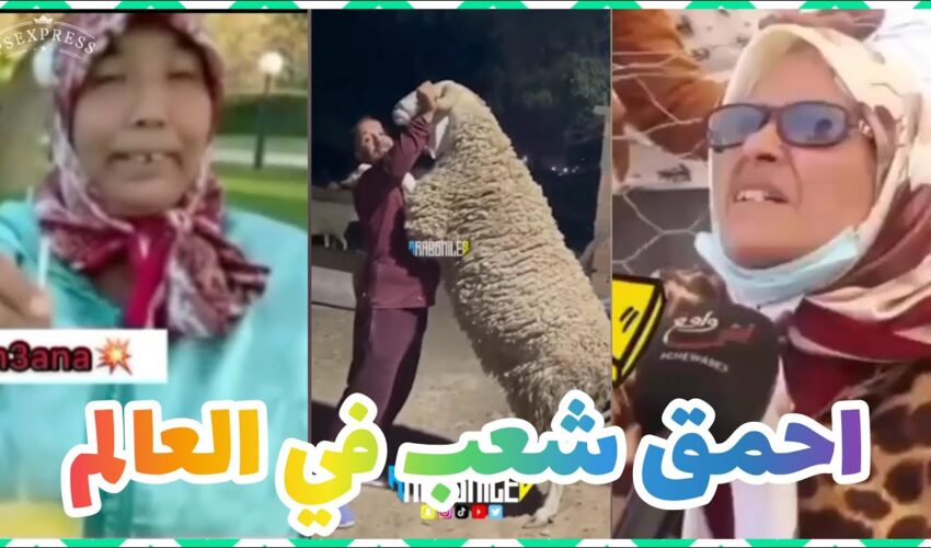 ميمز تافهة (ميمز مغربي) MOROCCAN MEMES احمق شعب فالعالم dirty memes