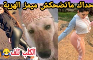 MOROCCAN MEMES (ميمز مغربي)شمس العشية