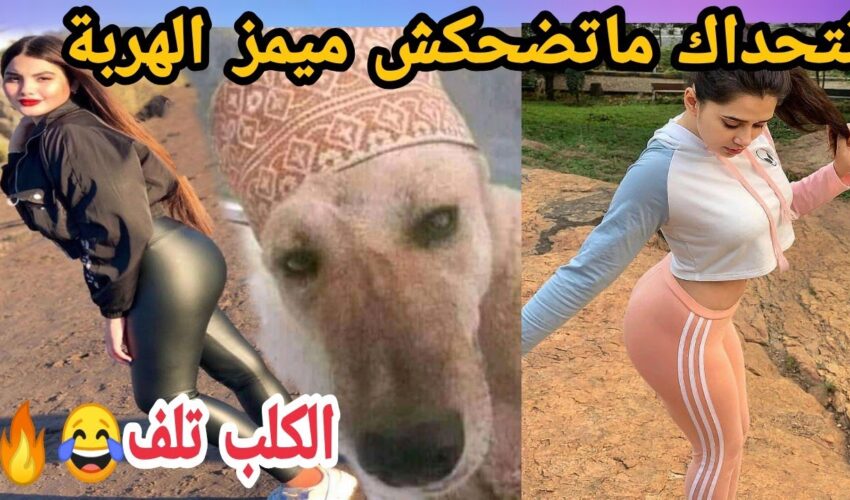 MOROCCAN MEMES (ميمز مغربي)شمس العشية