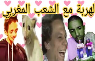 احمق شعب فالعالم ميمز مغربي MOROCCAN MEMES ???